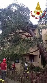vigili del fuoco bl a conegliano