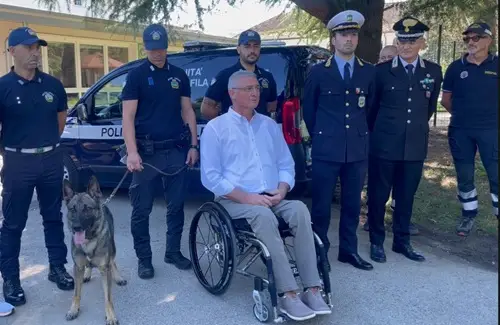 cane antidroga Grey polizia locale belluno
