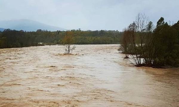 Il Piave soffocato dal fango: quando la manutenzione si trasforma in disastro ambientale