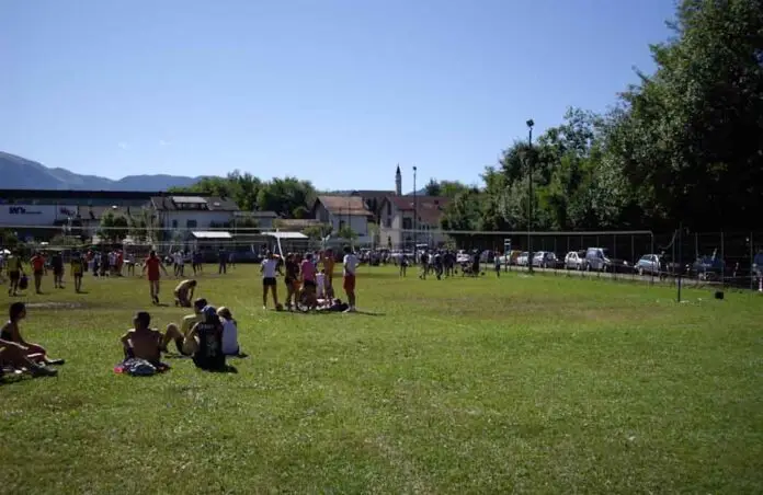 volley 24 ore salce
