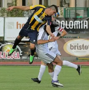AC Belluno
