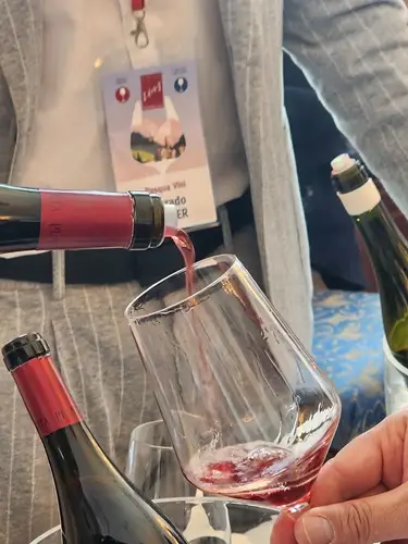 vinovip 2