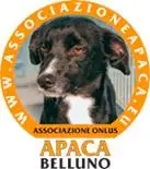 apaca
