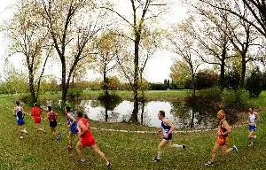 gpn cross csi cesenatico 2016 dante passuello (sesta posizione)