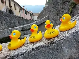 papere a serravalle