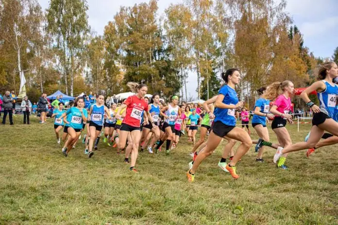 campionato prov CSI ©EchiAlessandroSogne_edited