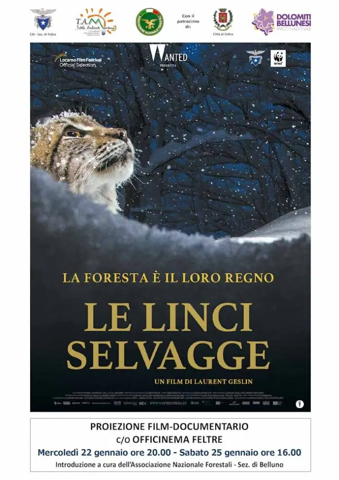 le linci selvagge_edited