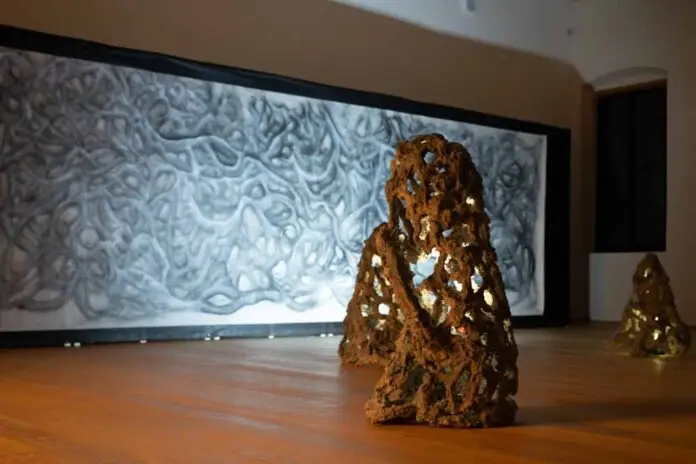 Intreccio mostra a Palazzo Bembo_edited