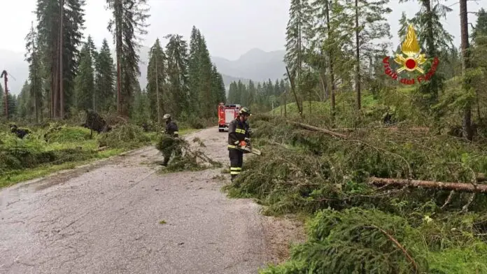 vigili del fuoco interventi maltempo_edited