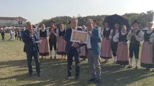 lattebusche