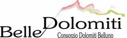 consorzio dolomiti belluno 250x75
