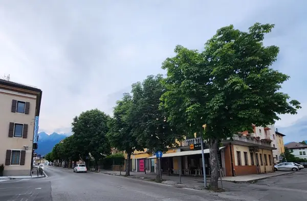 viale fantuzzi belluno