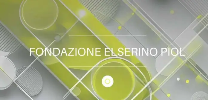 Fondazione Elserino Piol_edited