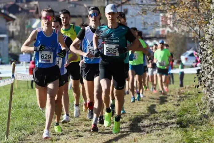 corsa campestre Csi Lamon 19 nov 2023_edited