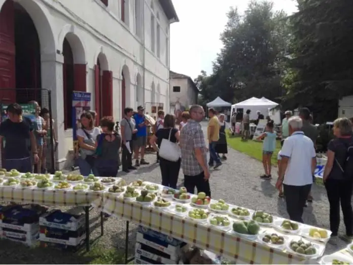 pom e per villa zasso moldoi sospirolo_edited