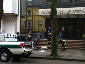 volpe in tribunale