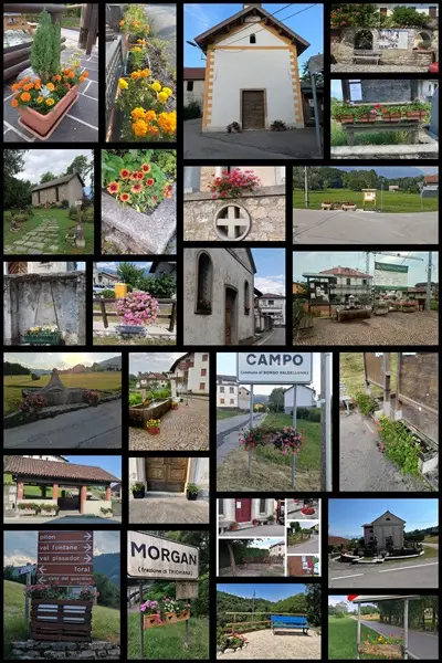 fiori a borgo valbelluna