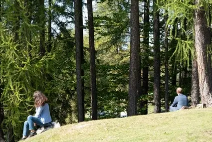 Cortina in Wellness