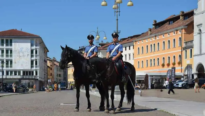 carabinieri a cavallo di due cavalli murgesi