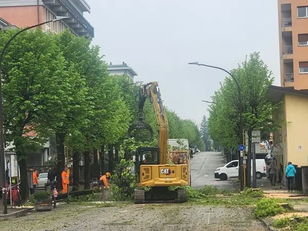 Belluno via Feltre, partiti i tagli: cantiere puntuale nonostante il dissenso