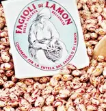 fagiolo-lamon