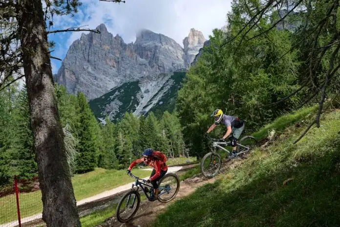 Cortina estate_edited