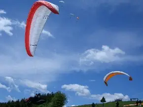 pararapendio 1