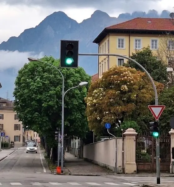 Belluno, nessuna autorizzazione per il taglio degli alberi lungo viale Fantuzzi