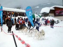 sleddog-leggeriss