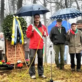 massaro bosco delle castagne