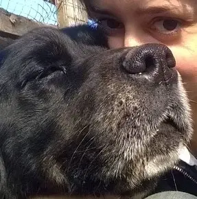 sandy fiabane con cane