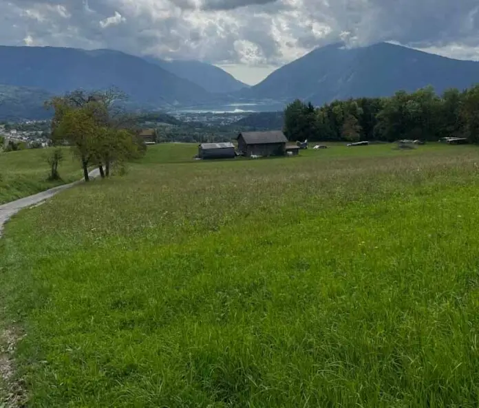 sfalcio prati Alpago