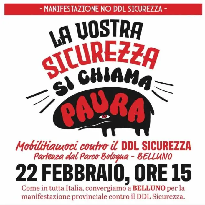 manifestazione ddl sicurezza_edited