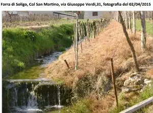 diserbanti vigneti