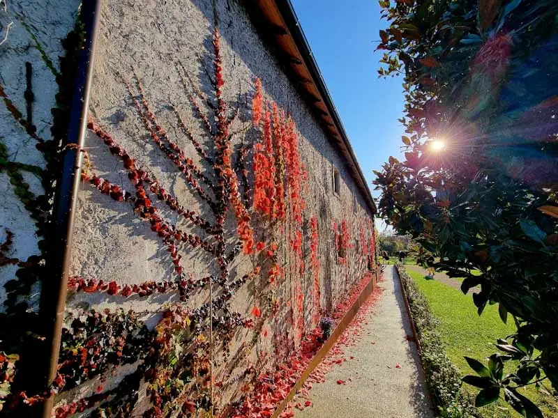 Belluno, Villa Buzzati S. Pellegrino 2006 – 2026. Gli eventi dall’11 al 19 luglio