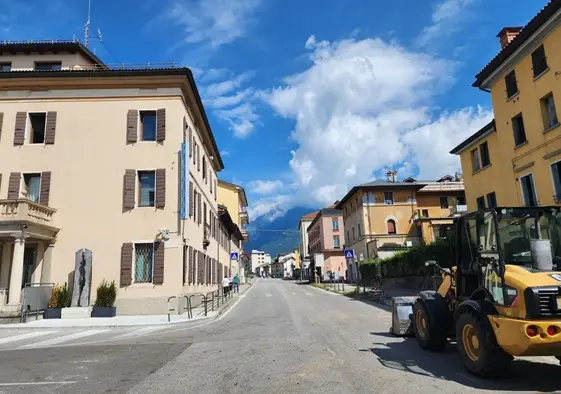 viale fantuzzi alberi tagliati 2
