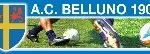 Calcio belluno