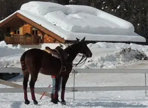 Cortina_Winter_Polo_Fiames
