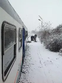 treno