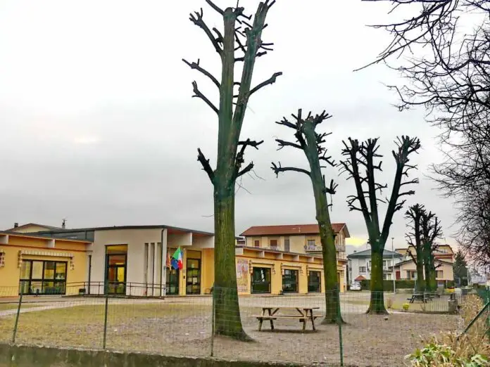 scuola primaria Quartier Cadore_edited