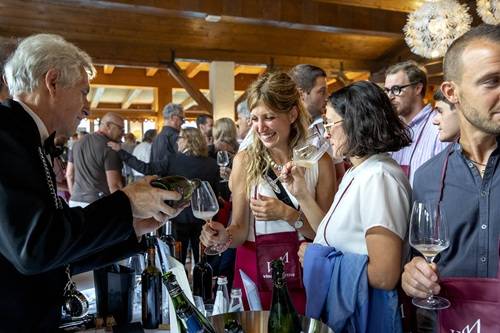 vinovip cortina