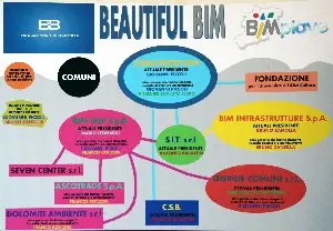 bim