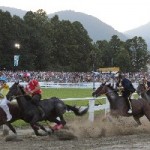 palio feltre 2012 109