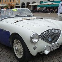 Coppa d’Oro 2016 Austin Healey 100 BN1