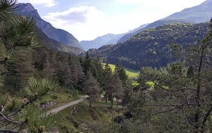 Perarolo Parco regina Margherita