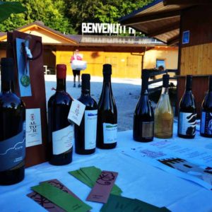 calici di stelle melere_edited