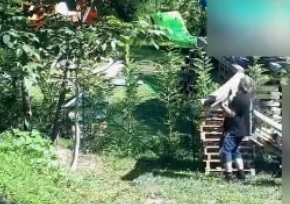 Falso invalido sorpreso dai carabinieri di Belluno a saltellare, a compiere lavori pesanti e in scooter