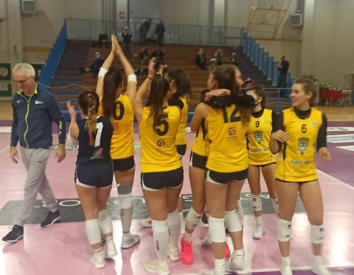 Pallavolo Belluno le lupe