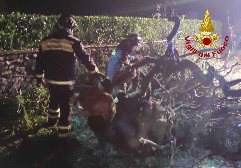 Oltre 40 interventi dei vigili del fuoco nella notte per il maltempo, pioggia, grandine e vento