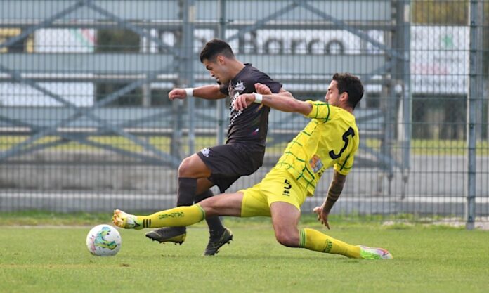 Dolomiti Bellunesi calcio